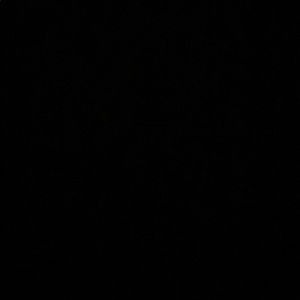 Meet your Posher, Camila